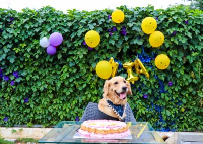 dog birthday party