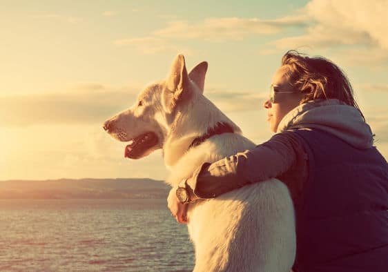 Dogs-Human's Best Friend
